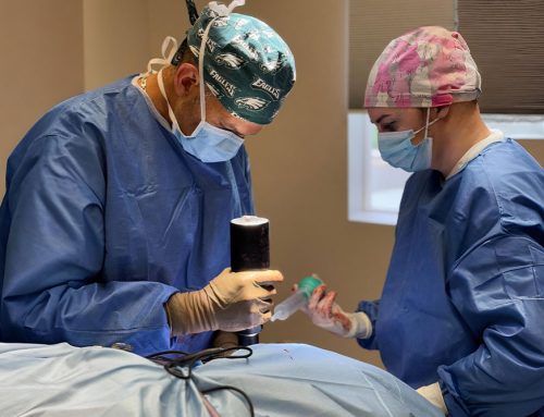 Is It More Than a Limp? Signs Your Pet May Need Orthopedic Care